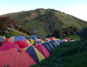 Musim Terbaik Pendakian Ke Gunung Merbabu Paket Pendakian Gunung