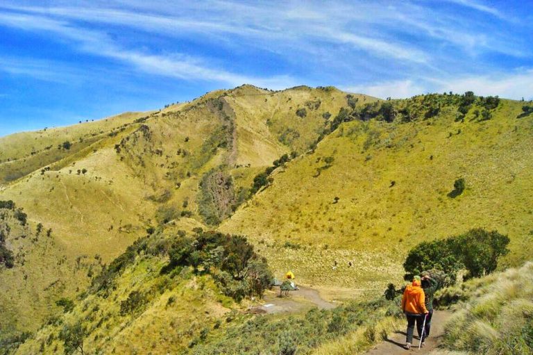 Pendakian Gunung Merbabu Via Suwanting Dan Wekas | Private Trip Merbabu ...