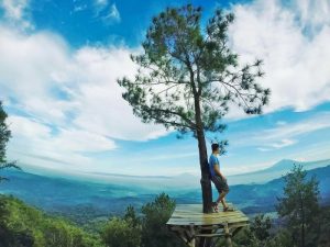 Porter trip merbabu