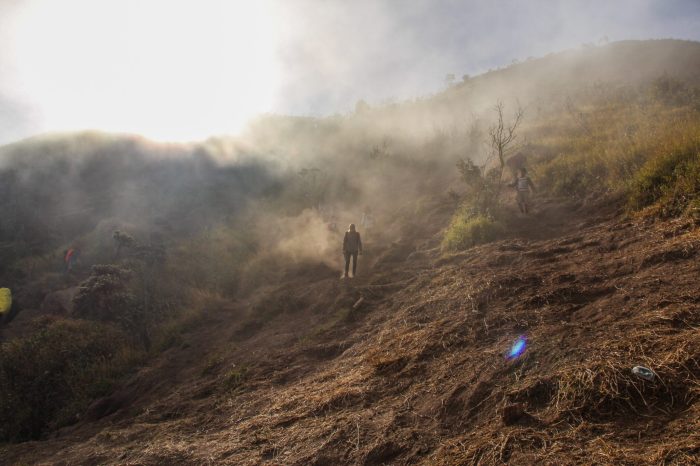 Https://www.almostbackpacker.com/2021/08/pendakian-gunung-merbabu-via-gancik.html