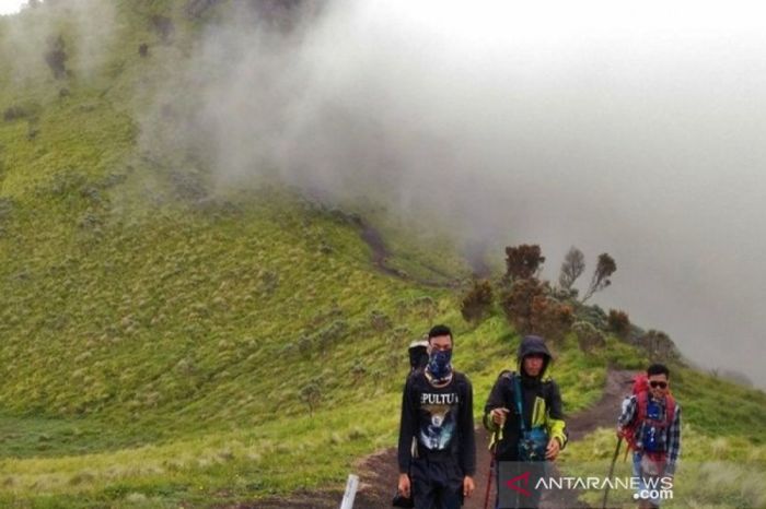 Pendakian selo gunung merbabu kisah sepenggal terlalu karna berkemah belum waktu cocok larut namun memilih setinggi datar sehingga melanjutkan